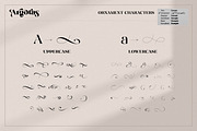 Argotas | Serif Display Font, a Serif Font by Ekahermawan (Thumbnail 14 of 15)