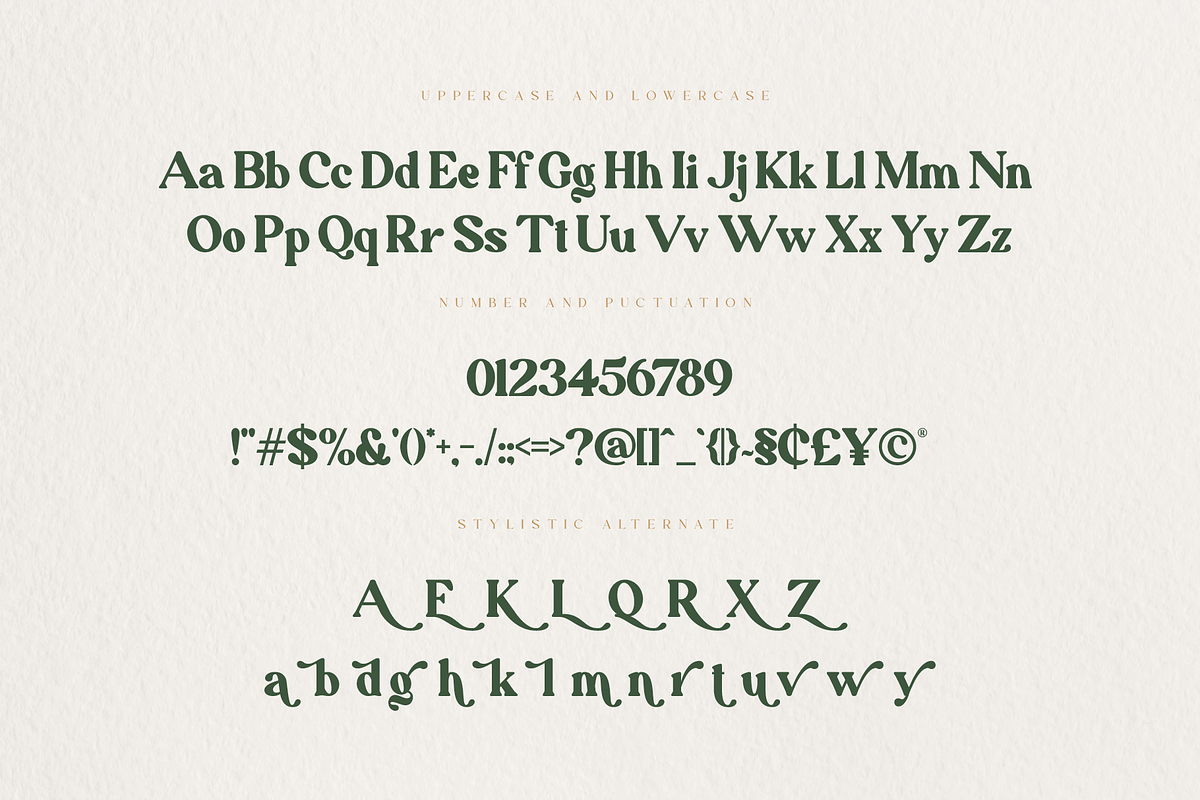 Adventuro – Retro Serif Font, a Serif Font by Pen Culture (Photo 11 of 12)