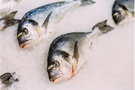 Fresh fish Dorado on ice on market, a Food & Drink Photo by Our Amazing World