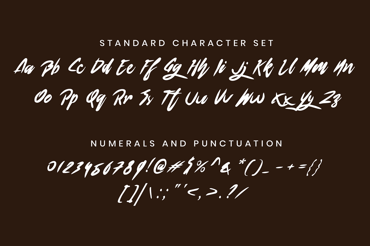 Blondering Modern Script Font, a Script Font by Haws.std (Photo 2 of 6)