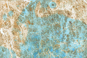 Watercolor bark paper, a Texture Graphic by le-genda (Thumbnail 3 of 15)