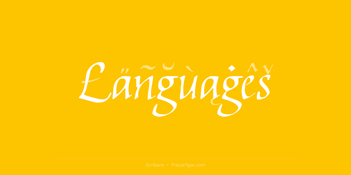 Scribana, a Script Font by preussTYPE (Photo 4 of 8)