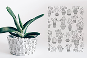 Vector Cactus Set, an Illustration by Inkwell Supply Co (Thumbnail 9 of 11)