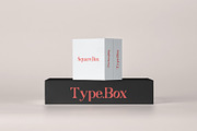 Swampcity Typeface Font, a Serif Font by Emyself Design (Thumbnail 5 of 12)