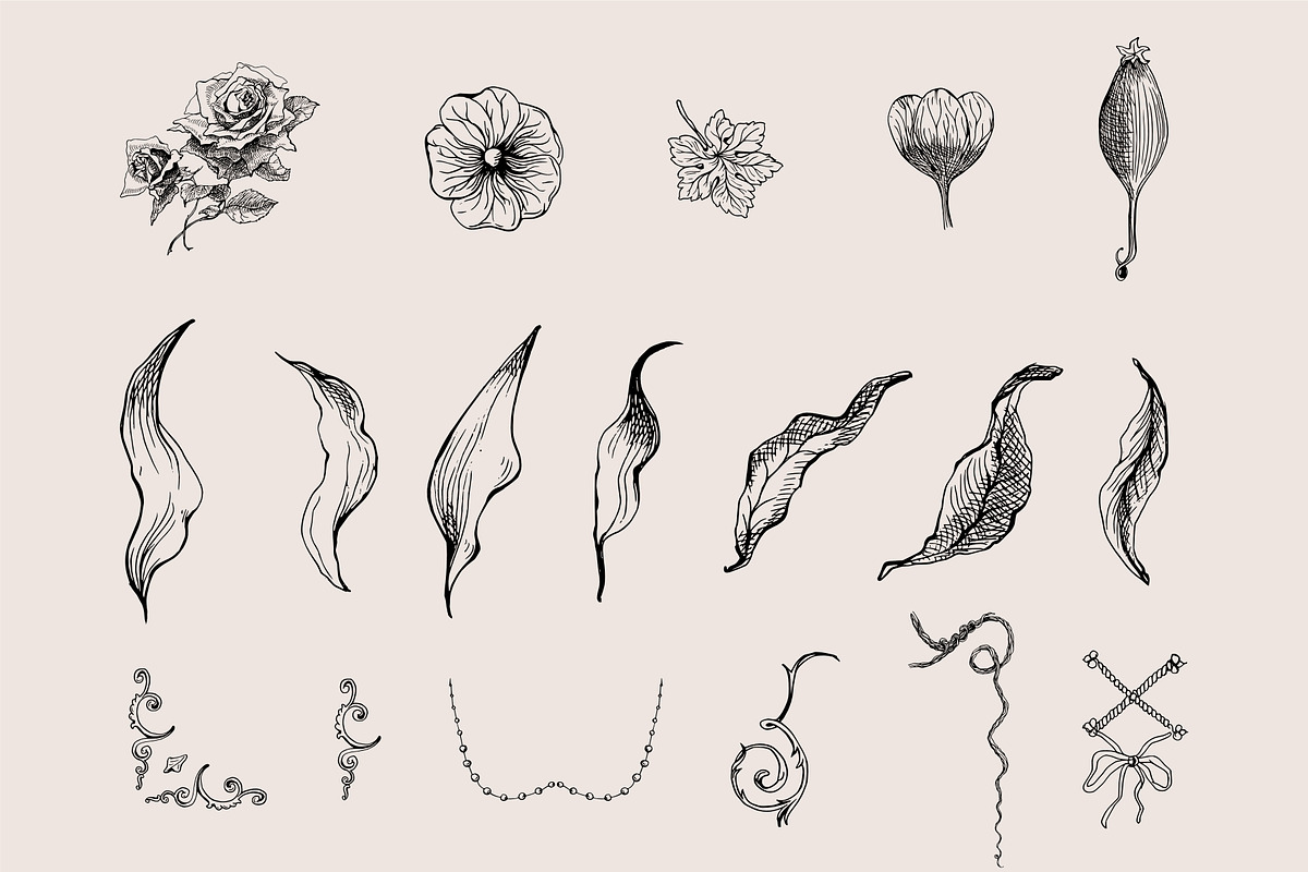 Vintage Frames SVG Clipart PNG, a Decorative Illustration by Anada Arty (Photo 14 of 18)