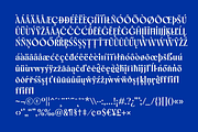 Bluemun – Timeless Serif, a Serif Font by Yukita Creative (Thumbnail 12 of 12)