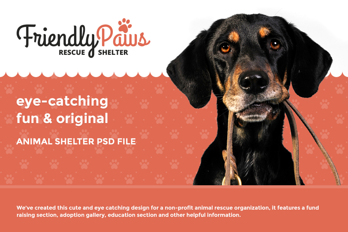 Friendly Paws - Shelter PSD template, a Websites & App Template by Mage Themes (Photo 1 of 3)