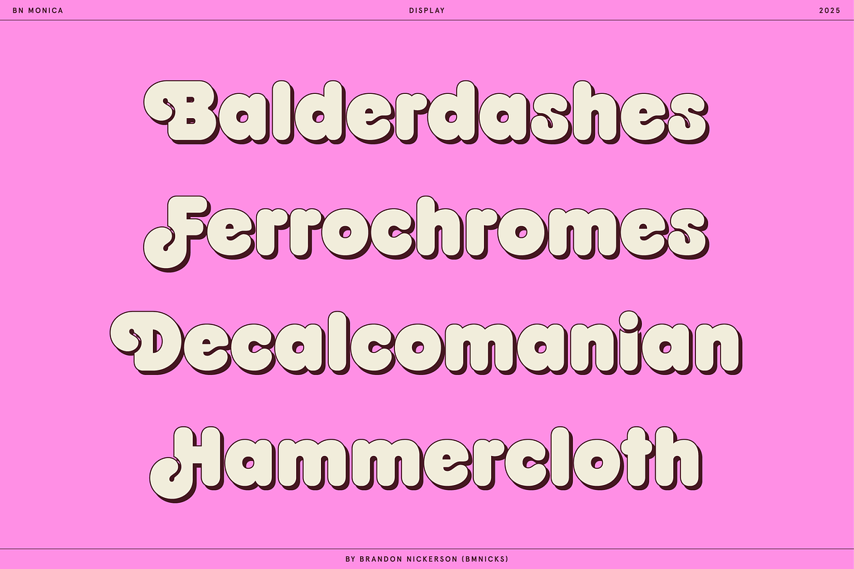 BN Monica Bold Sans Serif, a Sans Serif Font by Bnick (Photo 3 of 13)