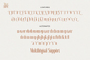 River Shine, a Serif Font by ToniStudio (Thumbnail 15 of 15)