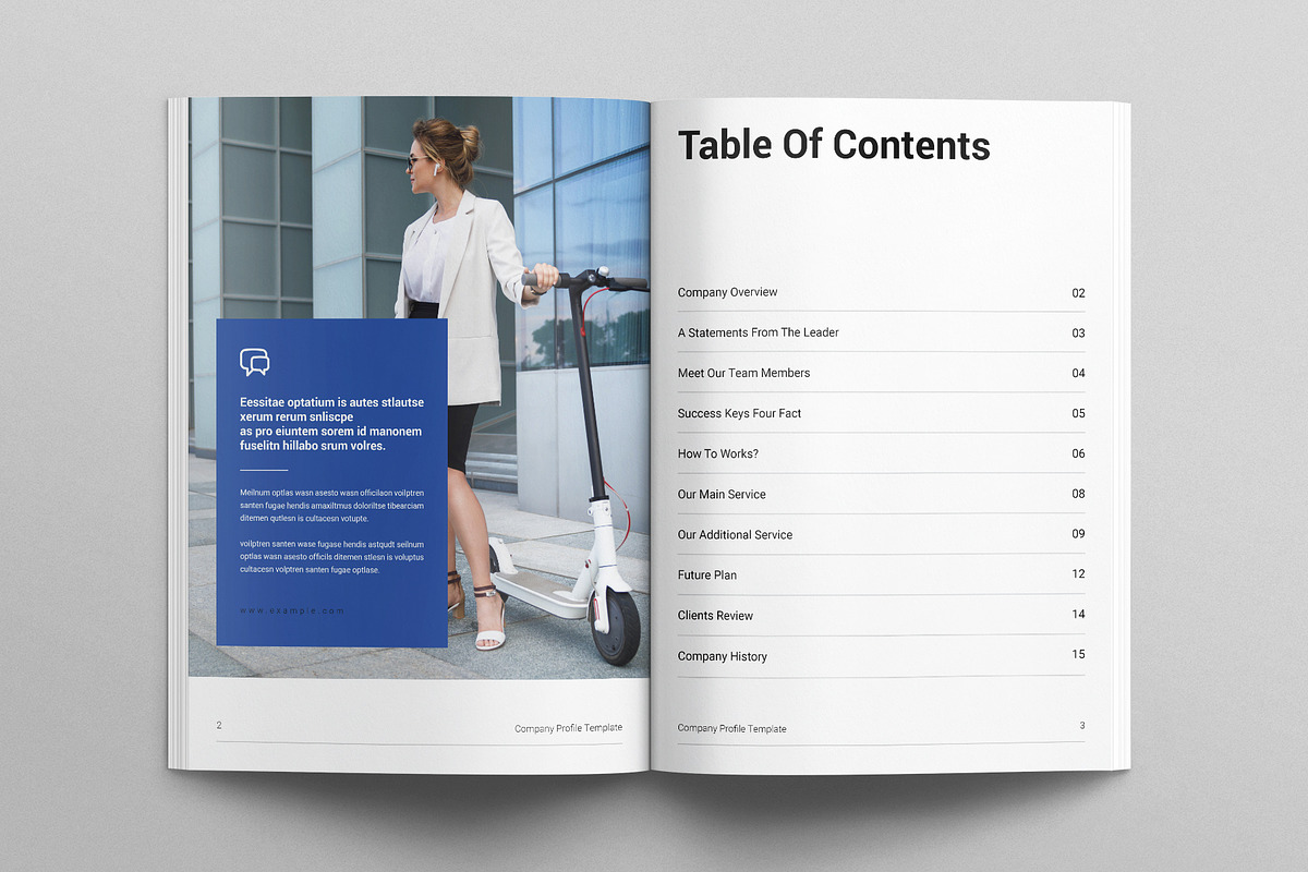 Company Profile Template, a Brochure Template by E-Type (Photo 2 of 7)