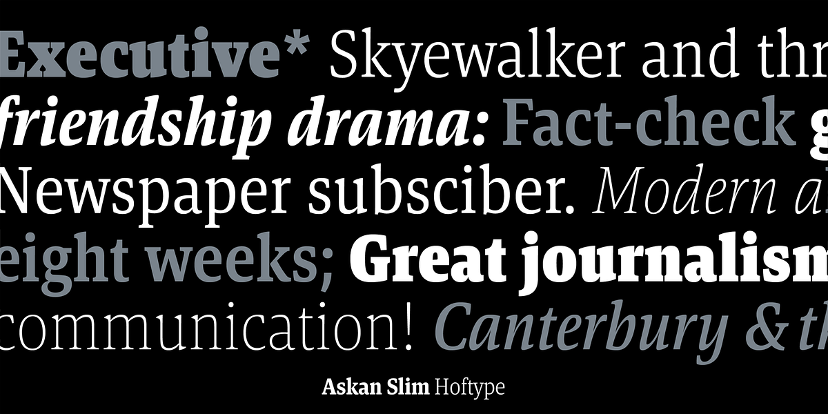 Askan Slim, a Serif Font by Hoftype (Photo 11 of 14)