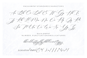 Raja Ampat – Modern Wedding Fonts, a Script Font by RedyStudio (Thumbnail 10 of 11)