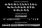 Warenthuis - Brush Handwritten Font, a Font by RHD Creative Studio (Thumbnail 10 of 10)