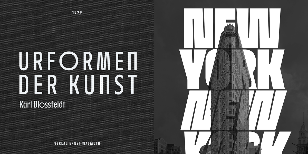 Nerissimo, a Sans Serif Font by Synthview Type Design (Photo 10 of 10)