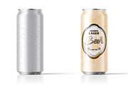 Beer Bottle Mockup, a Product Mockup by Designbuys (Thumbnail 1 of 4)