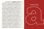 Shemekia, a Slab Serif Font by Areatype (Thumbnail 3 of 15)