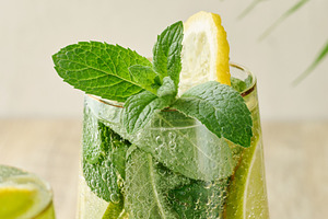 A sprig of mint in a glass of lemonade on a white background, a Food & Drink Photo by ndanko