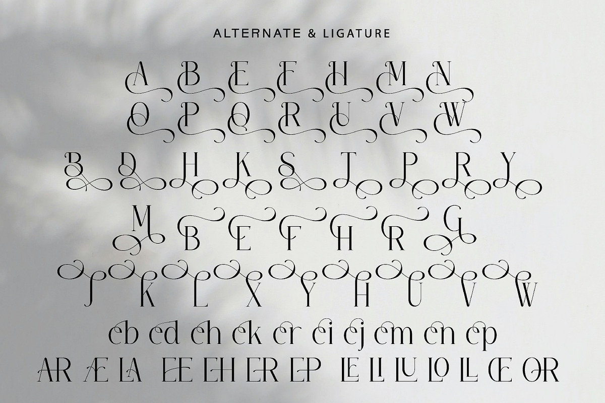 Honorveil - Elegant Serif Font, a Serif Font by Flawless And Co (Photo 10 of 10)