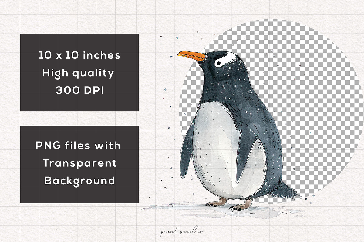 Penguin Clipart Graphics, an Animal Illustration by PaintPixelCo (Photo 2 of 10)