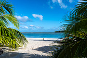 Idyllic motu view from a beach in Tikehau, French Polynesia, a Nature Photo by GoodGoods (Thumbnail 1 of 2)