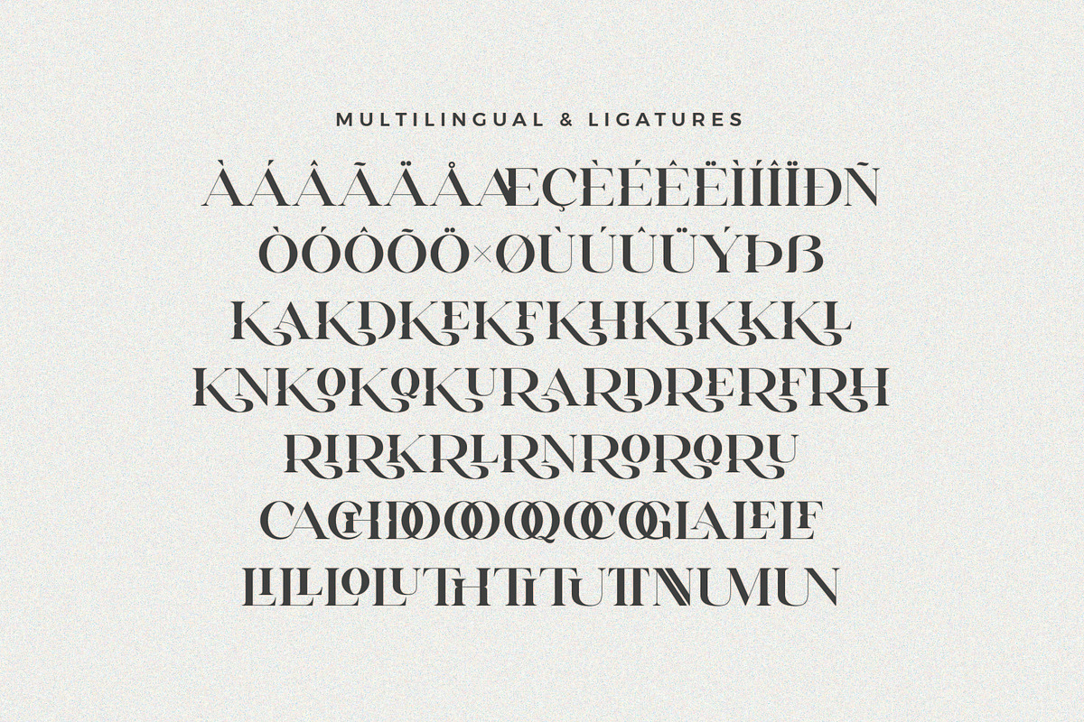 Erigo - Modern Serif Font, a Serif Font by Aqeel_Art (Photo 10 of 10)