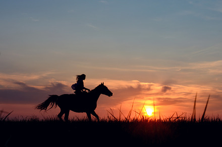 Romantic equine and girls silhouette, a Sports & Recreation Photo by Concept & Horses