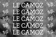 Marzena Display Font, a Slab Serif Font by Hishand Studio (Thumbnail 7 of 10)