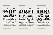 TA Regresso Text, a Serif Font by TAFT Foundry (Thumbnail 11 of 21)