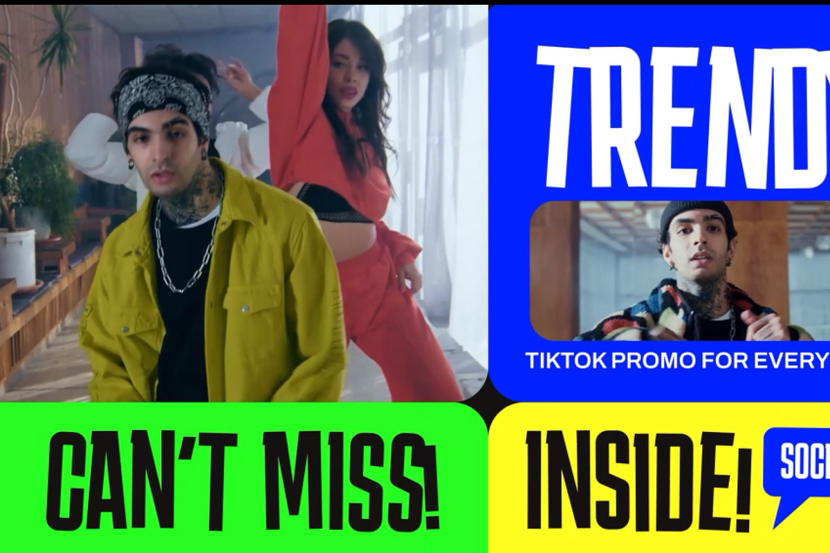 TikTok Promo After Effect, a Social Media Template by Loin Studio (Photo 3 of 3)