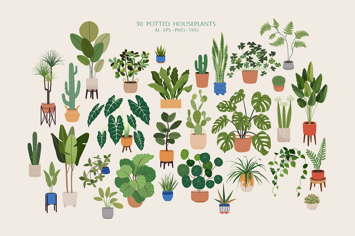 Home Plants | House Plants in Pots, a Decorative Illustration by Berentine.art (Photo 7 of 16)