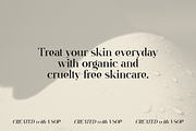 VSOP - elegant serif, 70 fonts, a Serif Font by VP Fonts (Thumbnail 4 of 21)