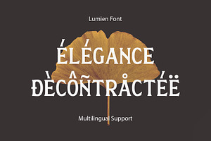 Lumien Display Serif