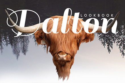 Dalton Lookbook, a Magazine Template by Magoo Studio