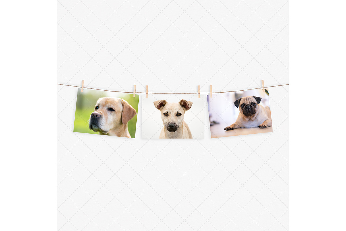A4 prints mockup with clothespins, a Print Template by Dorado Stock (Photo 3 of 3)