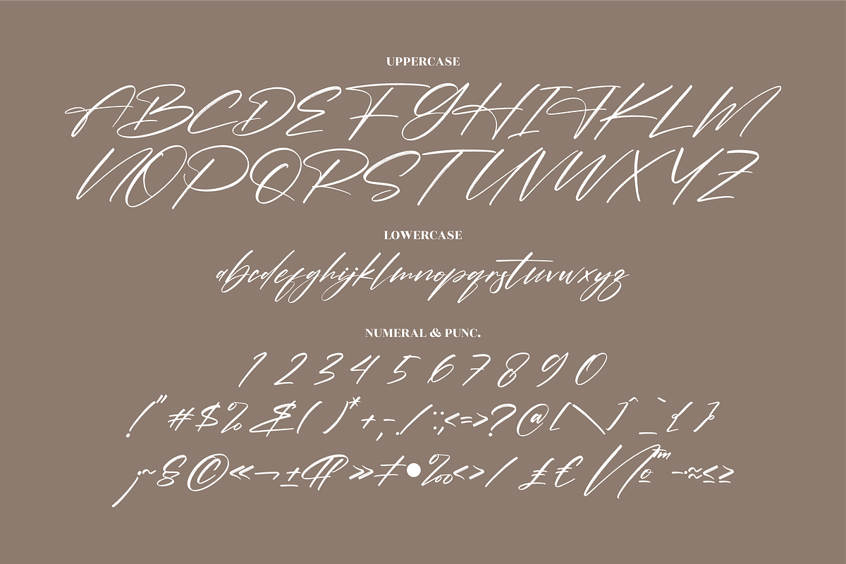 Pantherdam Signature Signature Brush, a Script Font by Letterena Studios Script (Photo 13 of 15)