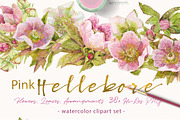 Pink Hellebore-Floral Clipart, an Illustration by watercolorwild.graphics (Thumbnail 1 of 6)
