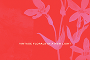 Analog Bloom Backgrounds, a Background Graphic by Lilithcollageart (Thumbnail 10 of 11)