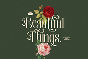 Palisade Display Font, a Serif Font by Sans & Sons (Thumbnail 10 of 10)