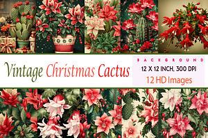 Vintage Christmas Cactus