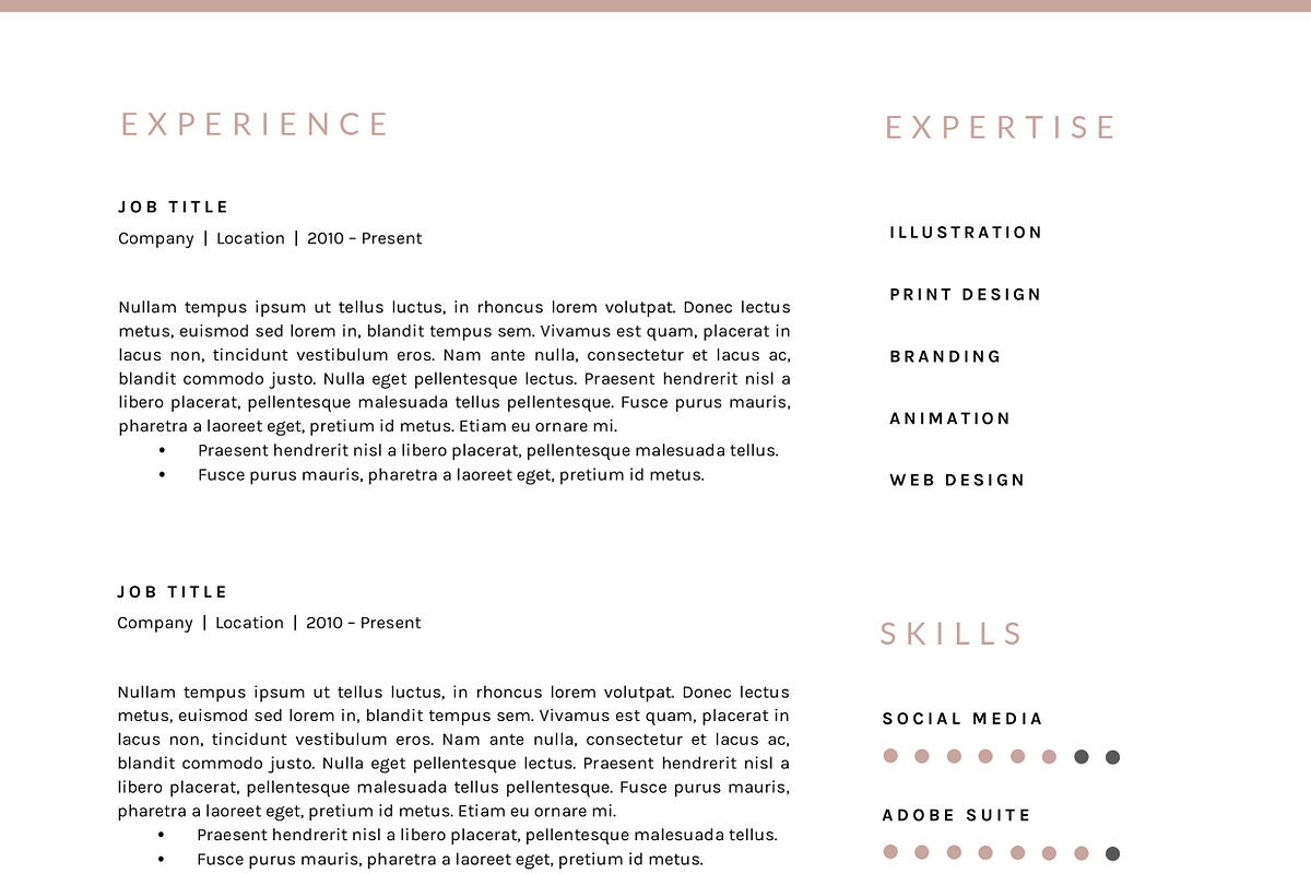 3 Page Resume Template | INDD + DOCX, a Resume Template by BlackDotResumes (Photo 5 of 5)