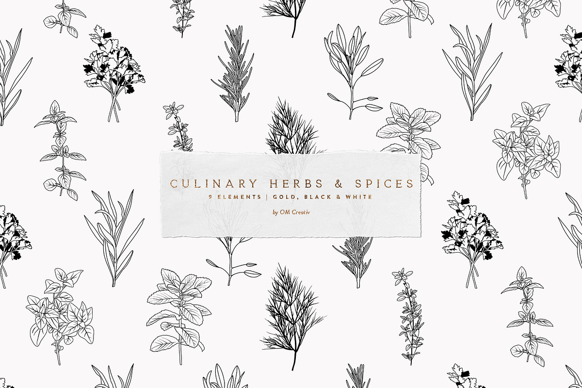 Vector Culinary Herbs & Spices, an Illustration by OM Creativ (Photo 2 of 6)