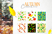 Autumn collection, a Background Graphic by ViktoriaLapshyna (Thumbnail 7 of 10)