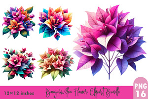 Bougainvillea Flower PNG Clipart, a Graphic by CitraGraphics