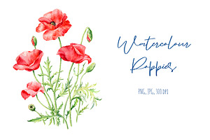 Watercolor Poppies