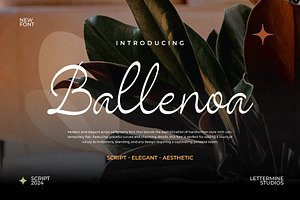 Ballenoa - Script Handwritten