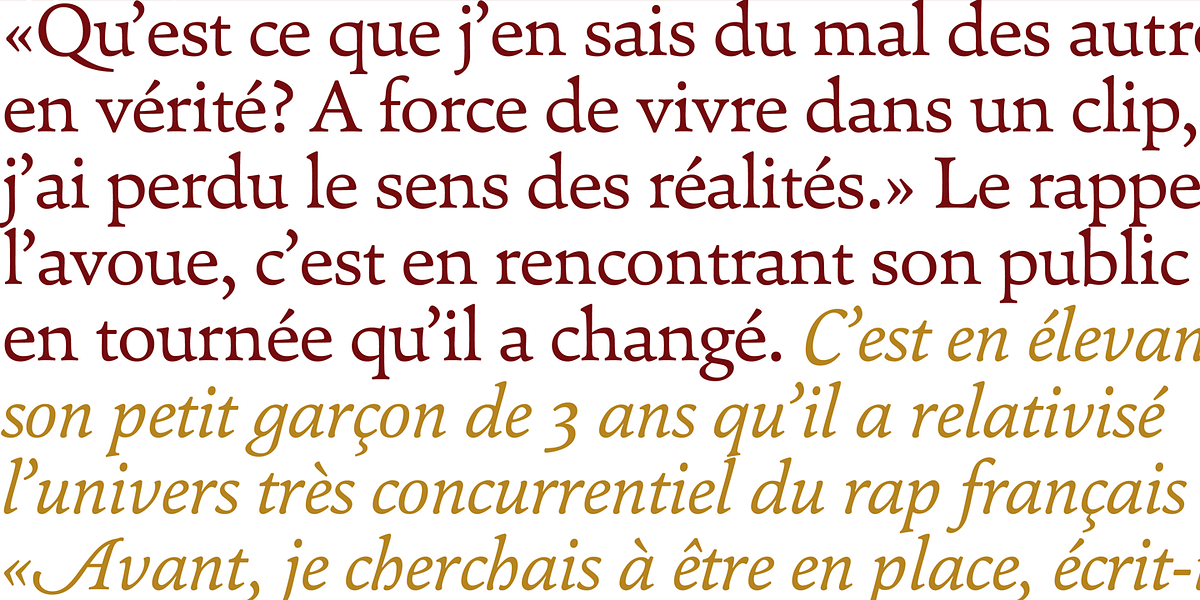 Pesaro, a Serif Font by Hoftype (Photo 3 of 7)