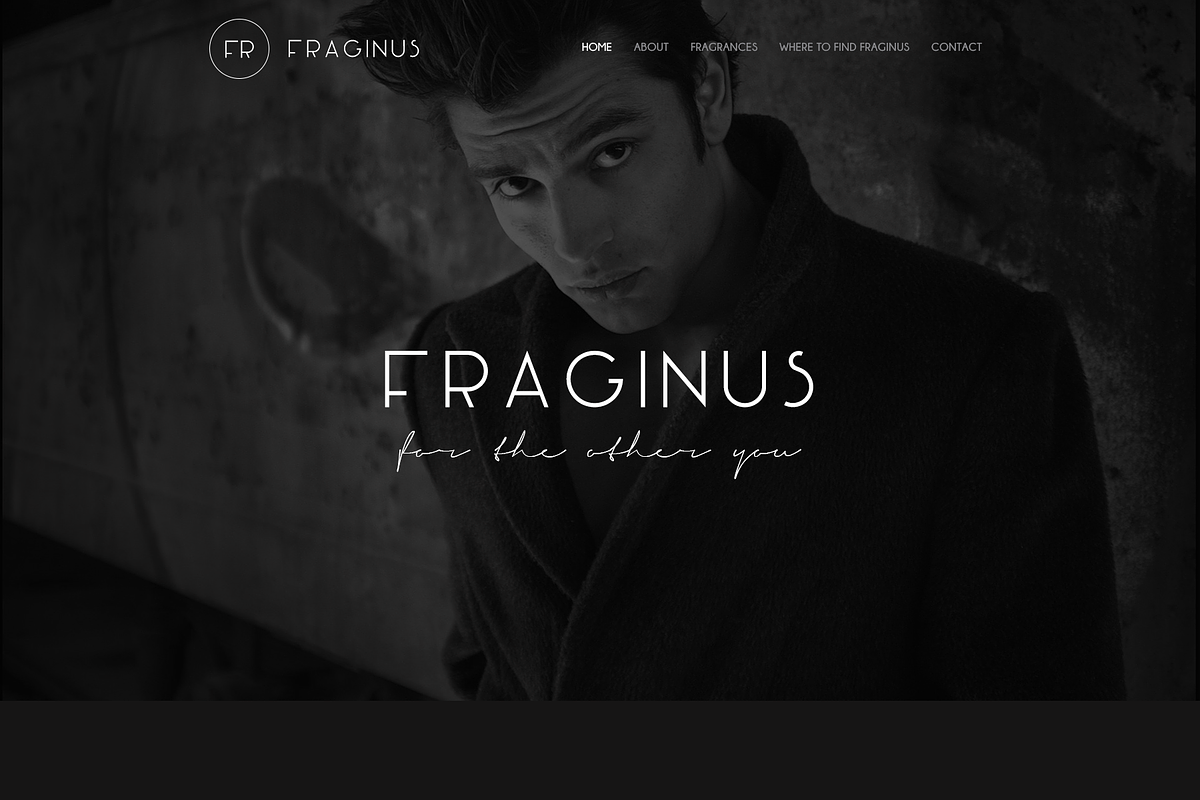 Fraginus Fashion Website Template, a Landing Page Template by PSDFY (Photo 3 of 5)