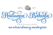 Andelintia, a Script Font by IM Studio (Thumbnail 7 of 9)