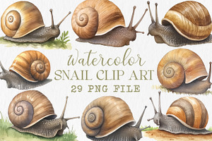 Watercolor snail clip art, an Illustration by Libby Wishes