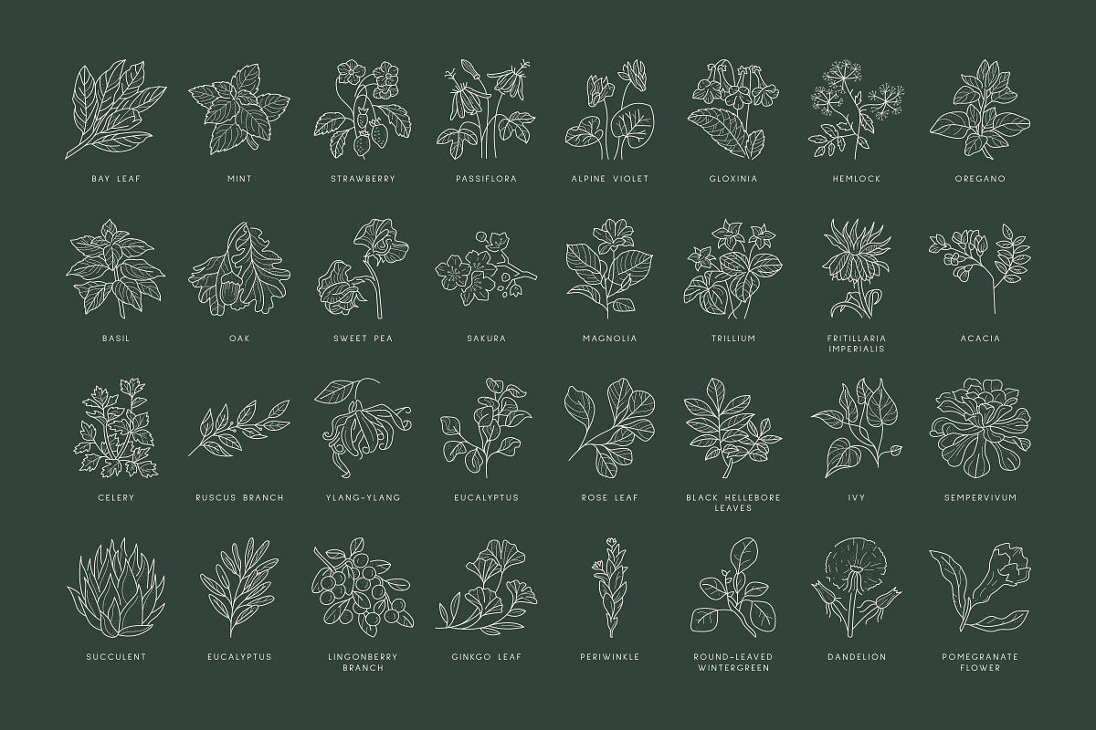 Floral Illustration Set, a Decorative Illustration by iStar Design (Photo 12 of 13)